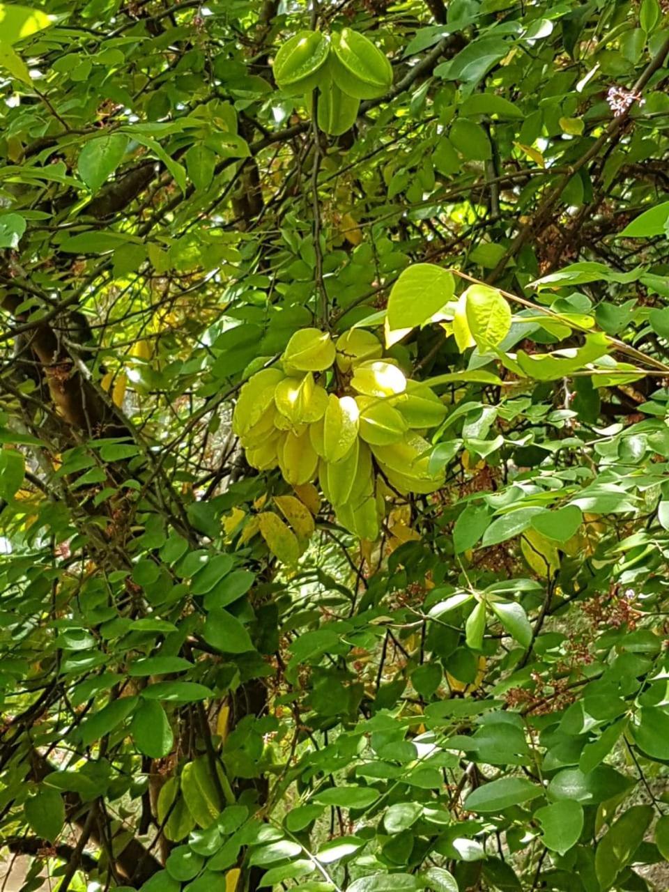 Pousada Rancho Flores Caeté 외부 사진